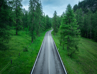 Wall Mural - aerial view of a winding asphalt road passing through a vibrant green forest in the italian dolomite