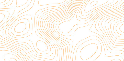 Poster - Vector line contour map texture, typography abstract pattern, golden mountain landscape grid.

