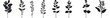 © MKS - Branches and leaves illustrated by hand. A floral branch featuring berries and leaves. A set of modern isolated icons with leaves, feathers, and branches