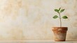 © Danupan - Fresh Green Plant Growing in Clay Pot Against Textured Background