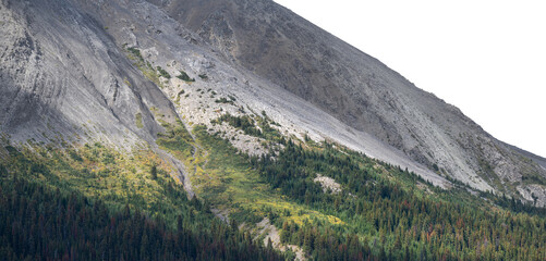 Wall Mural - A large rocky mountain with green trees on the lower slopes and a transparent sky . Panorama
