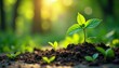 © Kevin - Lush green plant in sunlight, recyclable materials nearby, reduce, preserve, environment