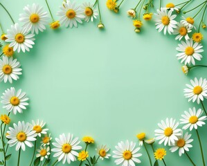 Wall Mural - A circular arrangement of daisies and yellow flowers on a mint green background, creating a fresh and cheerful floral frame.