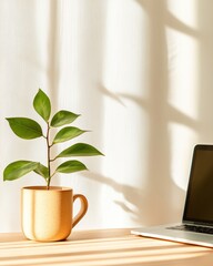 Fototapete - Minimalist Neutral Workspace Sunlit Desk with Sleek Laptop, Ceramic Mug and Plant - Remote Work Essentials for Modern Productivity Studios and Sustainable Home Offices