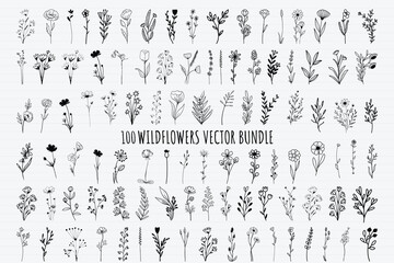 Collection of minimalistic simple floral elements. Flower vector. Flower Bundle Wildflowers Graphic sketch. Fashionable tattoo design. Flowers, grass and leaves. Botanical natural elements. 