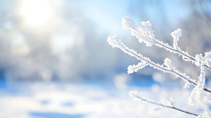 Aufkleber - Delicate Frost Covered Branches Glistening in Bright Winter Sunlight : Generative AI