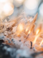 Leinwandbilder - Closeup view of mesmerizing flames flickering among beautiful organic textures : Generative AI