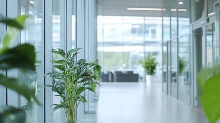 Poster - Bright Indoor Corridor with Lush Green Plants and Natural Light in a Modern Setting : Generative AI