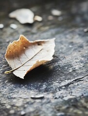 Poster - Beautifully detailed dry leaf resting on rustic wooden surface highlighting nature's elegant textures and tones : Generative AI