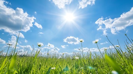 Aufkleber - Bright sunny day in a green meadow filled with daisies under a vivid blue sky showcasing nature's charm : Generative AI