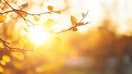 Aufkleber - Golden Leaves Backlit by Sunlight in a Warm Autumn Atmosphere : Generative AI