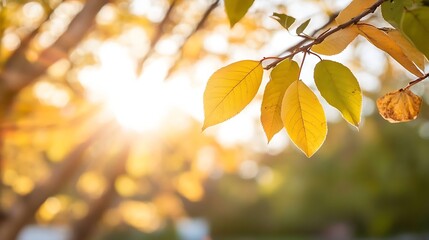 Aufkleber - Sunlight Filtering Through Golden Leaves in a Serene Natural Setting : Generative AI