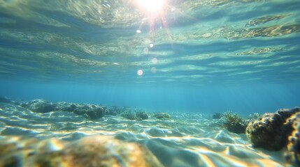 Poster - Underwater View of Sunlit Coral Reef with Clear Blue Water : Generative AI