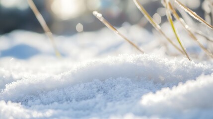 Aufkleber - Close up of soft powdery snow covering grass blades shining in the sunlight creating a winter wonderland : Generative AI