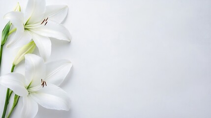 Poster - Elegant white lilies arranged beautifully on a soft background ideal for floral decoration and product presentations : Generative AI