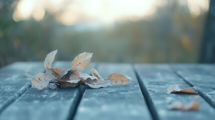 Poster - Dried leaves resting on weathered wooden table in soft sunlight creating a cozy autumn atmosphere : Generative AI