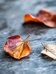 Poster - Autumn Leaves in Vivid Colors on a Rustic Wooden Surface : Generative AI