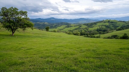 Naklejka na meble Vast Green Rolling Hills Under Bright Cloudy Sky in Serene Countryside : Generative AI