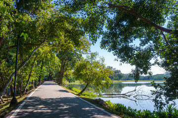 Wall Mural - a public place leisure travel landscape lake views at Ang Kaew Chiang Mai University and Doi Suthep nature forest Mountain views spring cloudy sky background with white cloud.