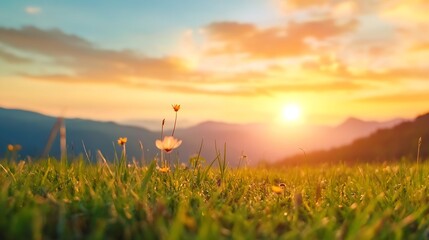Fototapete - Serene sunset view with vibrant colors illuminating the sky over a peaceful meadow : Generative AI