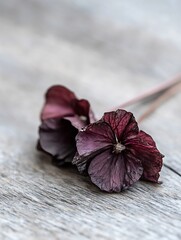 Poster - Beautiful dried purple flowers resting on a wooden surface highlighting their intricate textures : Generative AI