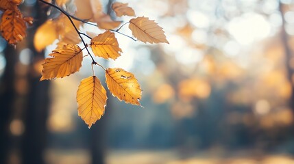 Poster - Vibrant Autumn Leaves Hanging from Branch with Soft Background of Nature : Generative AI