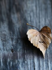 Poster - A heart shaped dry leaf resting on a weathered wooden table showcasing nature's beauty and intricate details : Generative AI