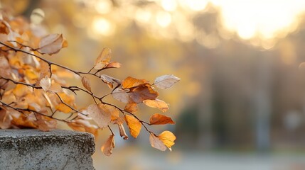 Poster - Autumn Leaves on a Branch Against a Soft Blurred Background : Generative AI