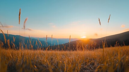 Wall Mural - Breathtaking sunset over golden fields with mountains in the background showcasing nature's beauty : Generative AI