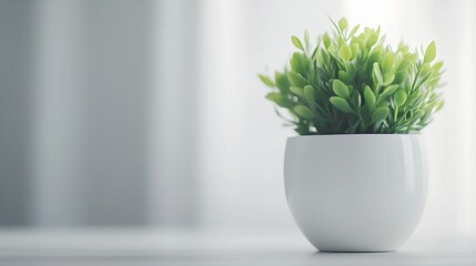 Poster - Serene indoor scene featuring a small green plant in a white pot on a sunlit windowsill : Generative AI