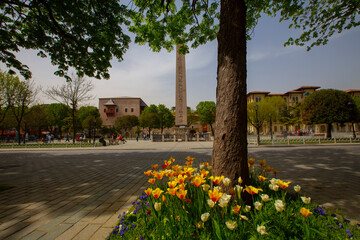 Wall Mural - Sultanahmet Square Tulip Festivals take place every year in April