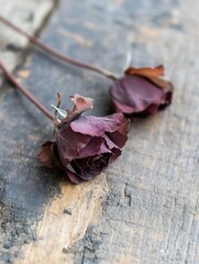 Aufkleber - Dried Dark Purple Roses on a Rustic Wooden Table Evoking Nostalgia and Beauty in Flower Arrangements : Generative AI