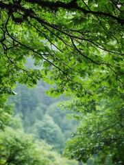 Aufkleber - Lush green foliage with leaves framing a serene nature scene : Generative AI