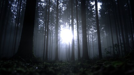 Aufkleber - Mysterious Forest Scene Illuminated by Soft Sunlight Through Misty Trees : Generative AI