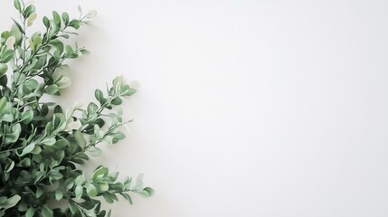 Wall Mural - Lush green leaves against a clean white background for a fresh and natural aesthetic : Generative AI