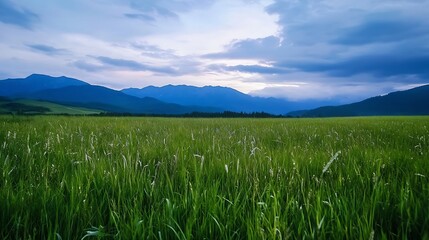 Wall Mural - Breathtaking view of lush green grasslands under a beautiful sky with mountains in the distance : Generative AI