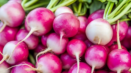Poster - Fresh organic radishes gathered in a pile showcasing their vibrant colors and healthy appearance : Generative AI