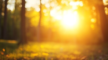 Aufkleber - Soft Focus on Sunlight Streaming Through Trees in a Tranquil Forest Setting : Generative AI
