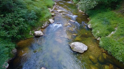 Poster - Aerial view of a serene river flowing through lush green foliage and rocks in nature : Generative AI