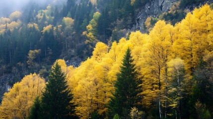 Poster - Vibrant Autumn Forest Scene with Bright Yellow and Green Trees in Nature Landscape : Generative AI