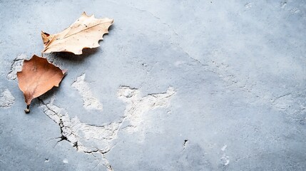 Poster - Artistic Composition of Autumn Leaves on Cracked Gray Concrete Background Surfaces : Generative AI