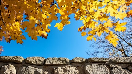Leinwandbilder - Golden Yellow Leaves Against Blue Sky Framed by Stone Wall : Generative AI