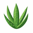 © Sabellatint - Simple flat 2D icon aloe vera leaf isolated on a white background, vector, flat design, animation design, vector, flat design, animation design, simple flat 2D icon, modern design, flat
