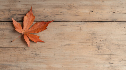 Poster - vibrant autumn leaf resting on textured wooden background