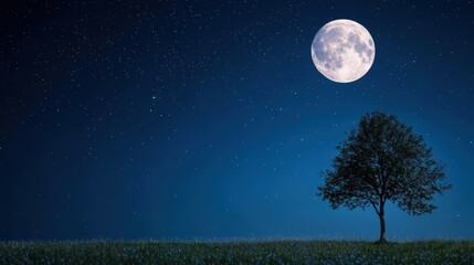Wall Mural - a time lapse image captures the movement of a supermoon as it ascends into the night sky, showcasing