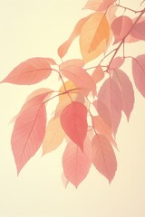 Wall Mural - Romantic Pastel Leaves, Blush and Cream Background, Subtle Floral Watercolor Line Drawing