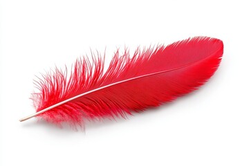 Poster - A vibrant red feather, symbolizing the intensity and passion of love, set against an isolated white background for easy cut-out. The feather is depicted in high resolution with intricate details