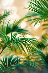 Wall Mural - lush green palm leaves illuminated by soft, warm light in a serene natural setting during the day