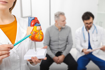 Cardiologist consultation, treatment of heart diseases. Cardiologist doctor during consultation for senior man shows anatomical model of human heart