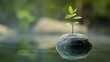 © Chandlerlikes - A tiny seedling, its green leaves reaching towards the sun, clung precariously to a smooth, grey rock submerged in a tranquil, clear body of water, symbolizing resilience and growth amidst adversity.